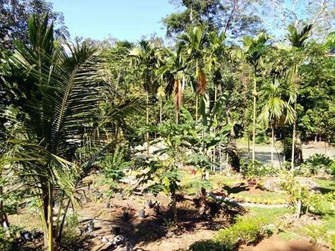 Orchid Bungalow & Restaurant Timbanglawang Bagian luar foto
