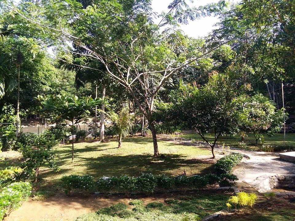 Orchid Bungalow & Restaurant Timbanglawang Bagian luar foto